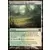 Cicatrices de Mirrodin - Halliers à l\'Orée des Rasoirs