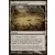 Worldwake - Sables mouvants