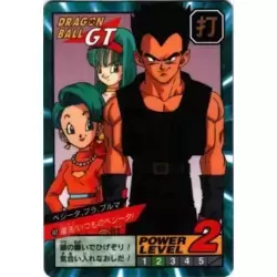 Dragon Ball Power Level Card #802