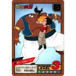 Dragon Ball Power Level Card #317