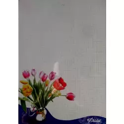 Feuille Diddl format A4 n°30