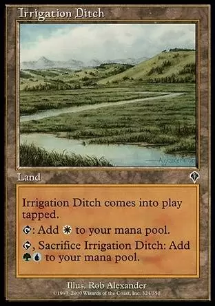 Invasion - Canal d\'irrigation