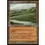 Invasion - Canal d\'irrigation