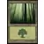 Forêt