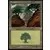 Forêt