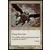 Griffon serres-rasoir // Griffon trancheserre