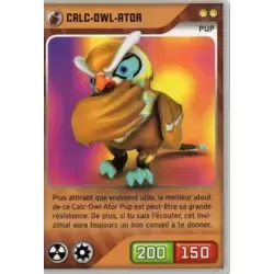 Calc-owl-ator Pup