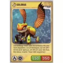 Goldbug Pup