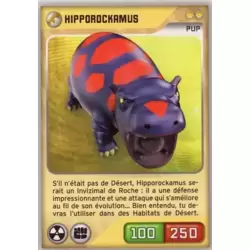 Hipporockamus Pup
