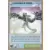 Chevaucheur de Dragons