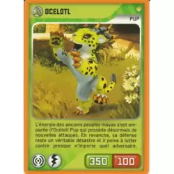 Ocelotl Pup