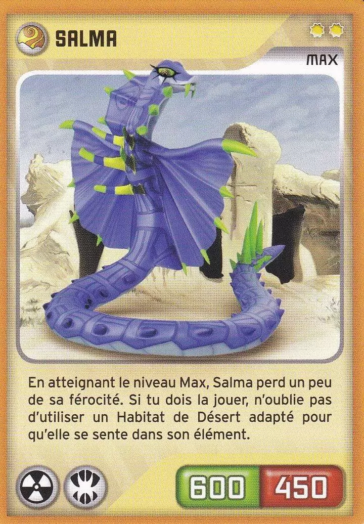 Invizimal - Nouvelle Alliance - Salma Max