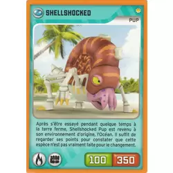 Shellshocked Pup