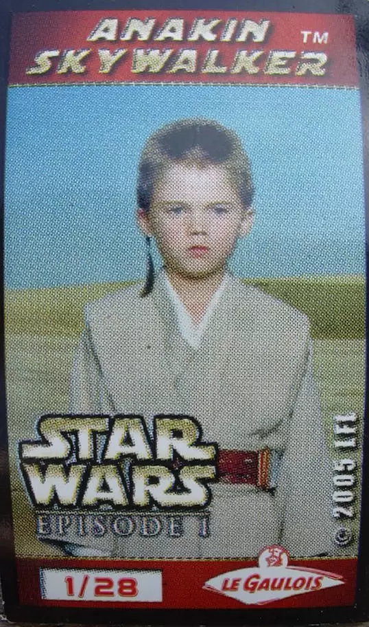Magnets Le Gaulois : Star Wars 2005 - Anakin Skywalker (enfant)