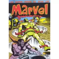 Marvel #4
