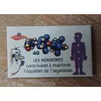 Magnet Les hormones