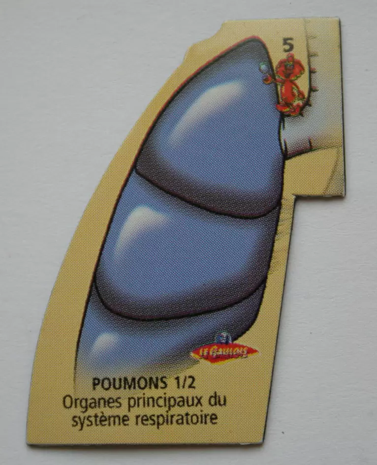Magnets Le Gaulois Il était une fois la vie : Le corps humain - Magnet Poumons 1/2
