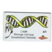 Magnets Le Gaulois Il était une fois la vie : Le corps humain - Magnet L\'A.D.N.