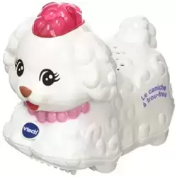 Bijou Le Caniche à Frou-Frou