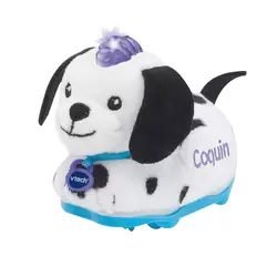 Coquin Le Petit Dalmatien