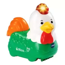 Rico Le Coq Lève-Tôt