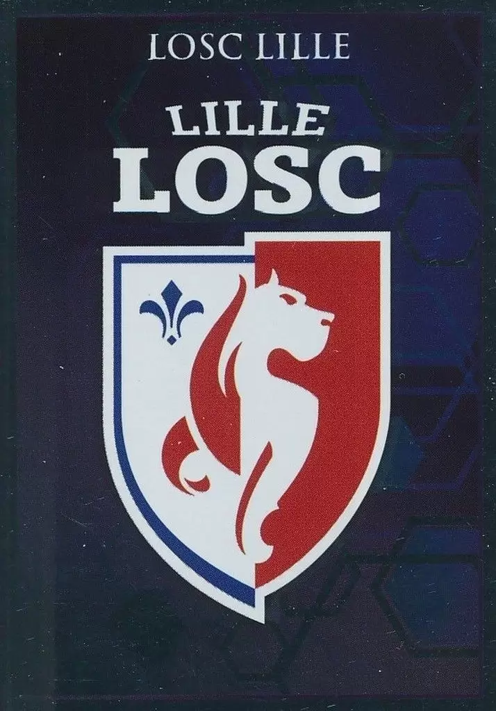 Foot 2017-18 : Championnat de France - Écusson - LOSC