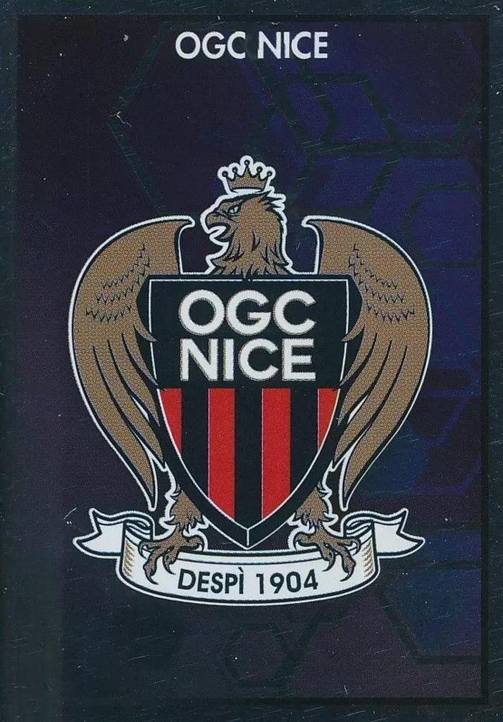 Foot 2017-18 : Championnat de France - Écusson - OGC Nice