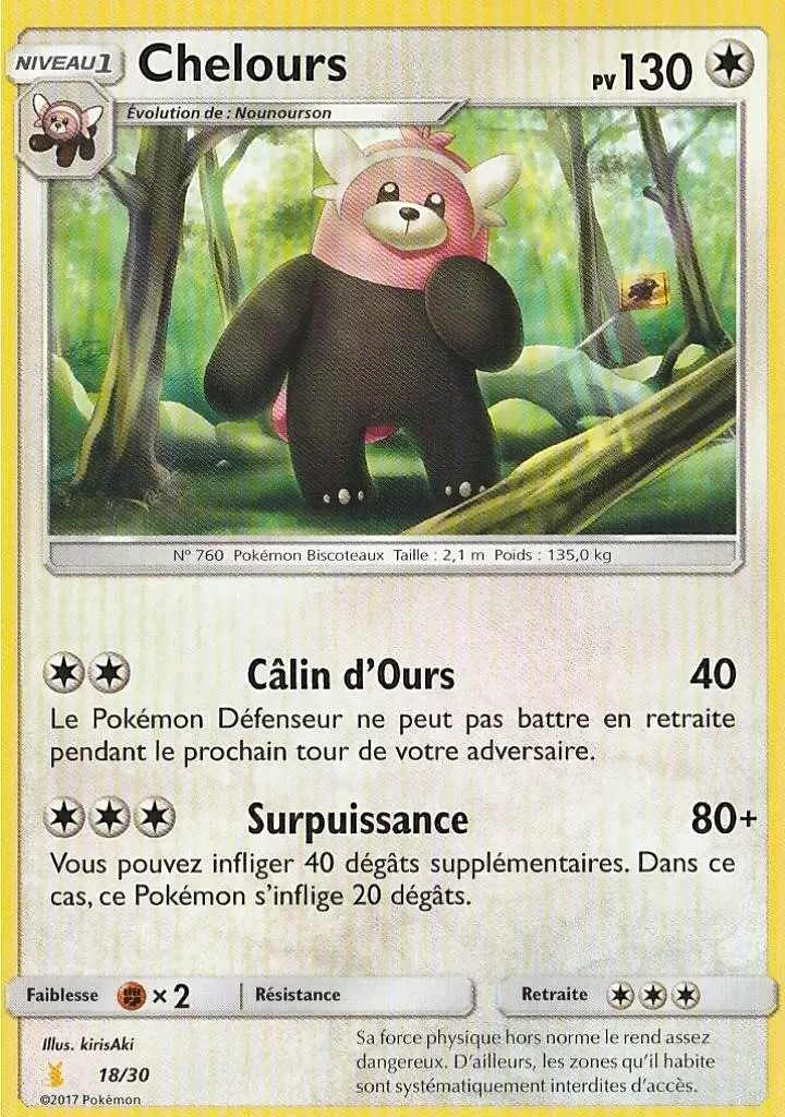 SL Trainer Kit (Raichu d\'Alola) - Chelours