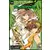 Tsubasa Reservoir Chronicle - Tsubasa Reservoir Chronicle #10
