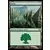 Forêt