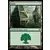 Forêt