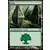 L\'ascension des Eldrazi - Forêt