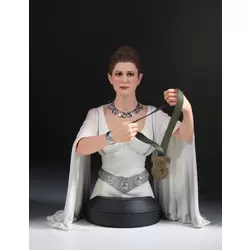 Leia Hero of Yavin