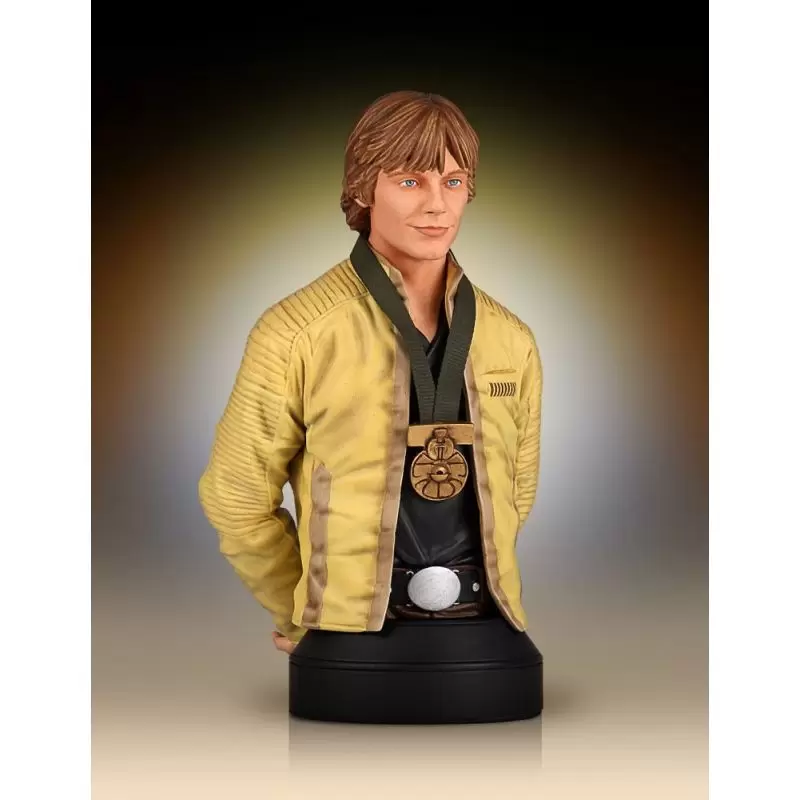 Bustes Gentle Giant - Luke Skywalker Hero of Yavin