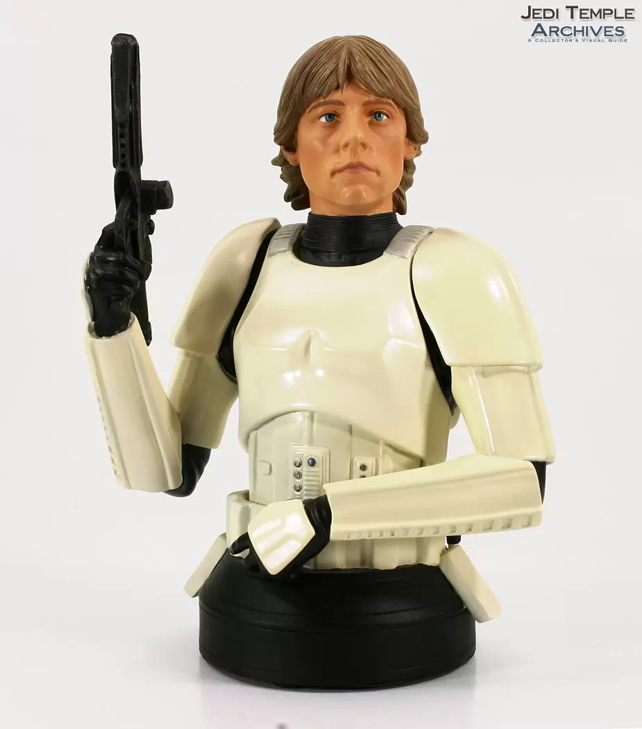 Bustes Gentle Giant - Luke Skywalker In Stormtrooper Disguise