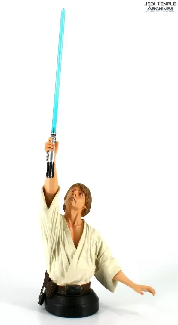 Gentle Giant Busts - Luke Skywalker Tatooine