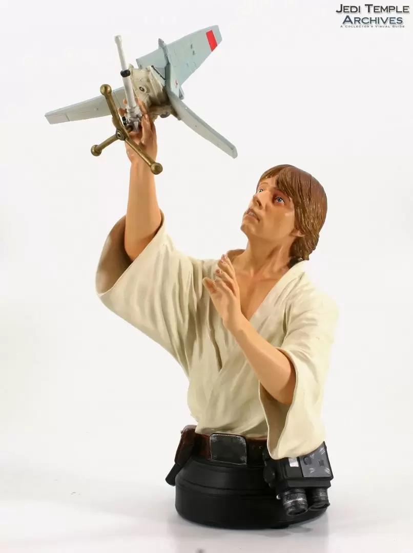 Gentle Giant Busts - Luke Skywalker with T-16