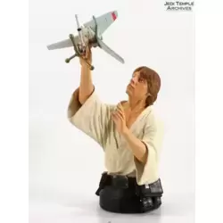 Luke Skywalker with T-16