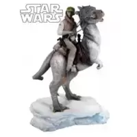 Luke on Tauntaun