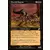 Raptor putride