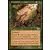 Legions - Lorien cassebranche