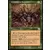 Brackus lance-venin