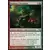 Shadowmoor - Rosheen l\'Erratique