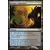 Shadowmoor - Ruines englouties