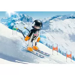 Alpin Skier