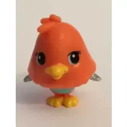Chickchaff Orange