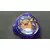 Raichu – Evo. 3 Purple