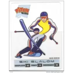Ski Slalom Carte Transparente