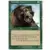Deckmasters - Ours de Balduvia