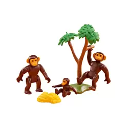 Famille de chimpanzés